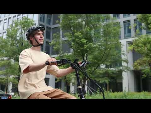 MOOJAY EB50 Full-Suspension Folding E-Bike | 20″ Fat Tires